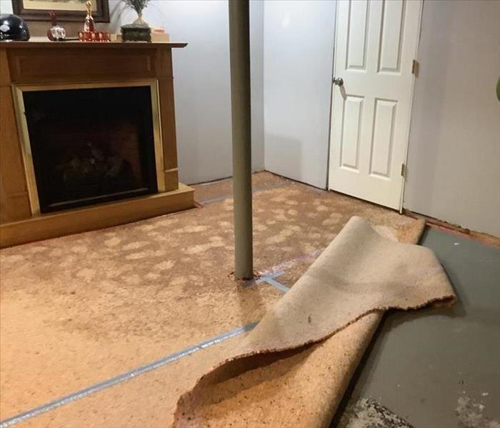 sewage on carpet of basement