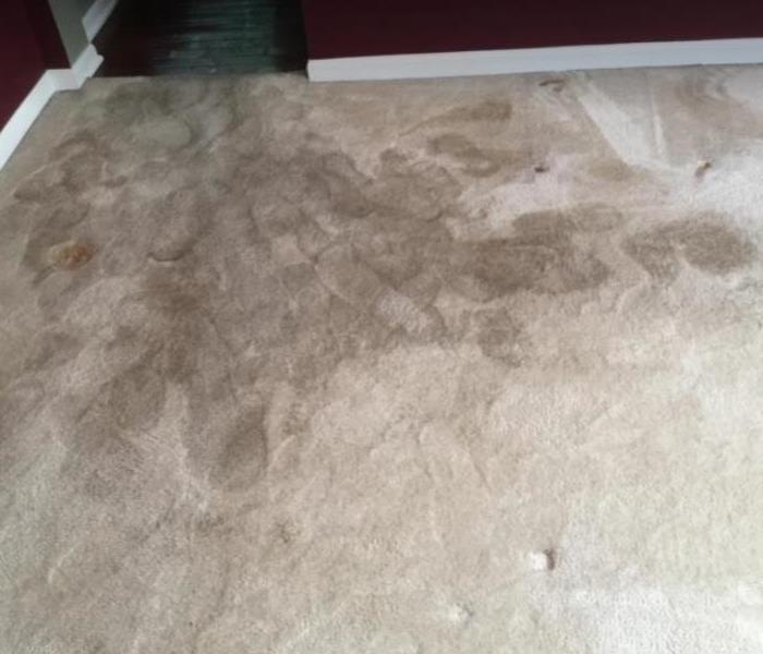 water damaged carpet in residential home