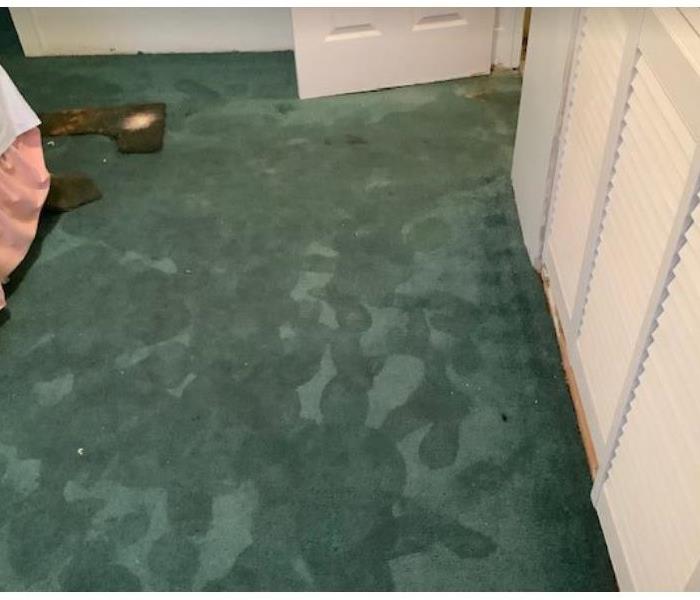 water damaged green carpet